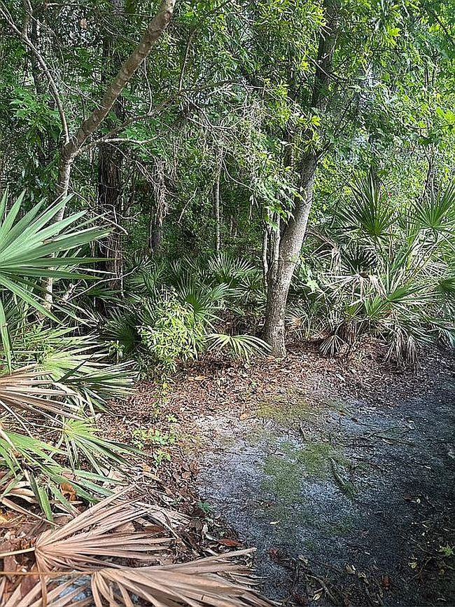 Photo of 905 Country Bridge Rd Unit 1, Saint Johns, FL