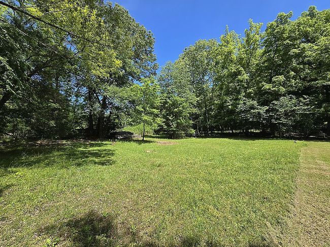Image of Shimrod St