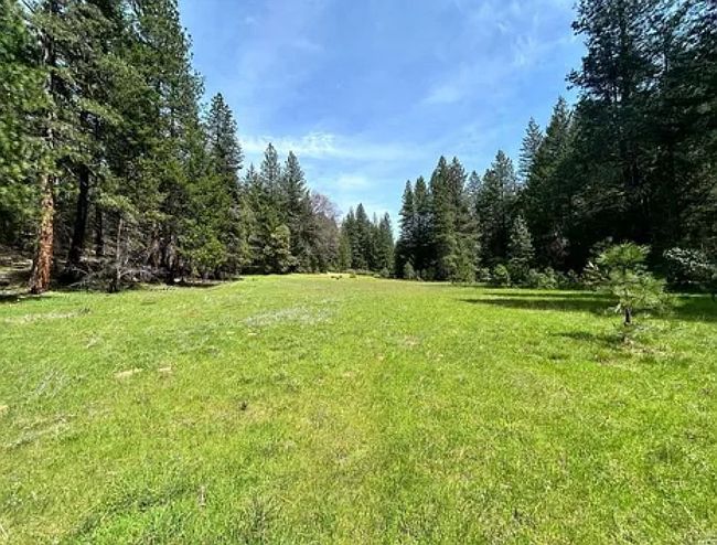 Photo of 16270 Zenia Lake Mountain Rd, Zenia, CA