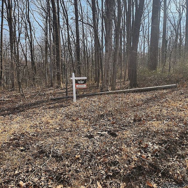 Image of 0 Shady Valley Ln
