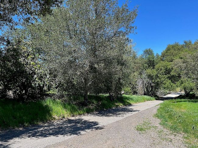 Image of 26055 Avenida Del Oro