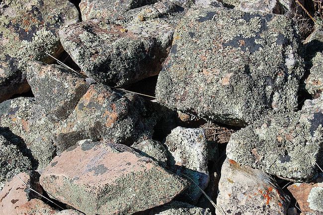 Image of 119260 N Whiterocks Canyon Rd