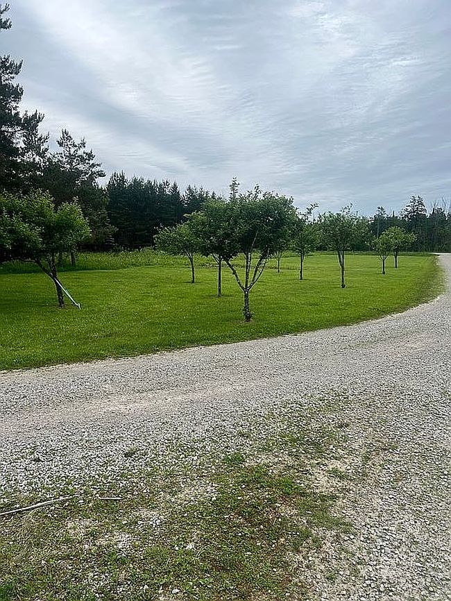 Photo of 9893 Y Ln #25, Rapid River, MI
