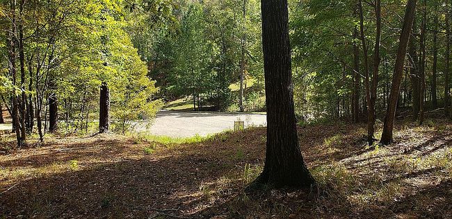 Photo of 80 Woodhill Trce, Wetumpka, AL
