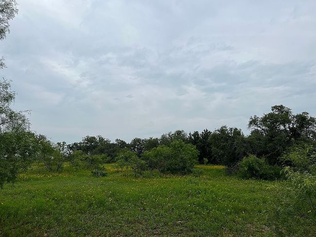 Photo of 6901 County Road 136, Brownwood, TX