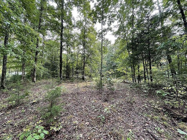 Image of 0 School House Rd
