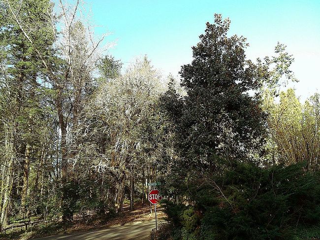 Photo of 3210 Sumac Dr S, Salem, OR