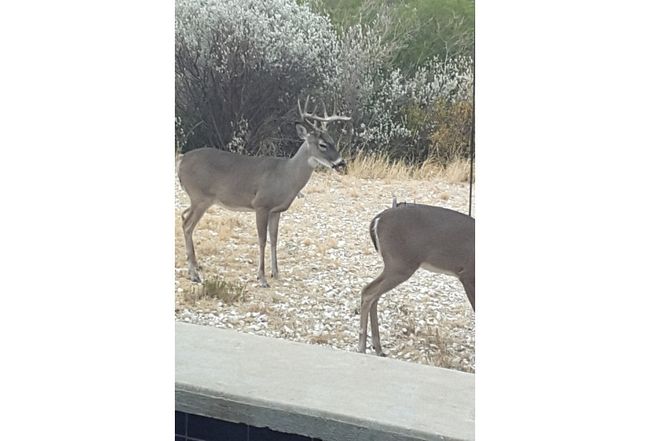 Photo of 39 Sanders Point Road, Del Rio, TX