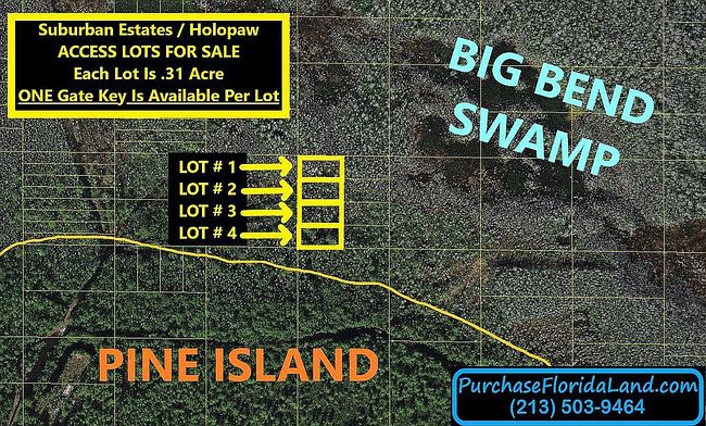 Image of Holopaw Groves Rd