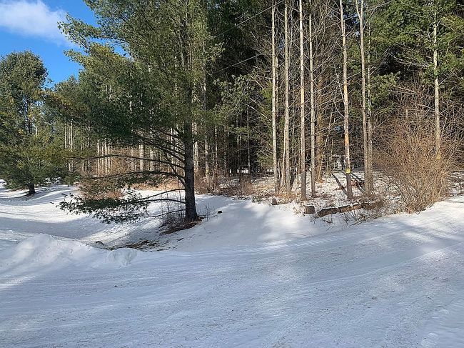 Photo of 2670 Bass Lake Rd, Lupton, MI