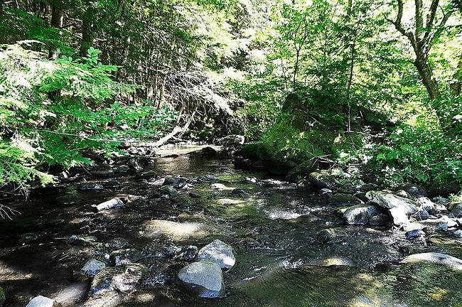 Photo of 862 E Putney Brook Rd, Westminster, VT