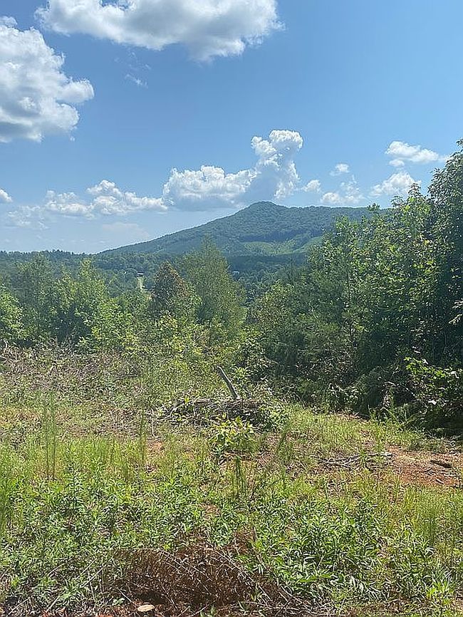 Photo of Lot-1   134 Golden Valley Church Rd, Bostic, NC