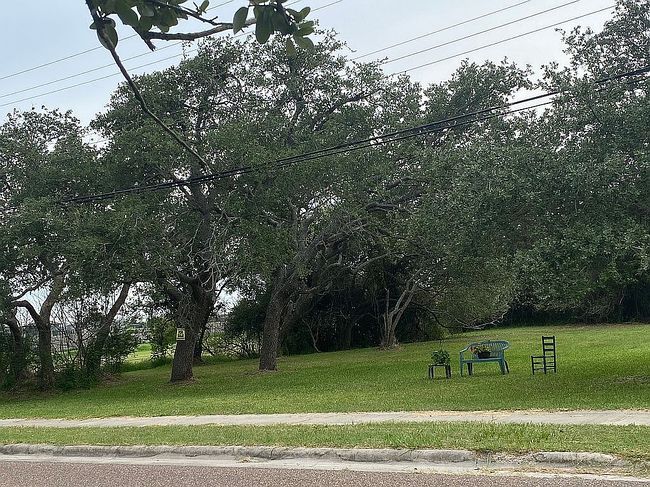 Image of 1403 N Live Oak St