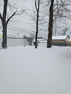 Image of 24 Wenonah Ter