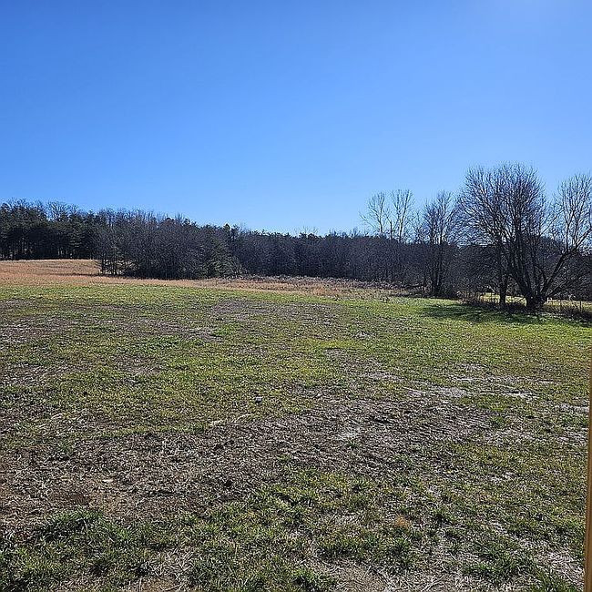 Image of 135 Watkins Branch Rd