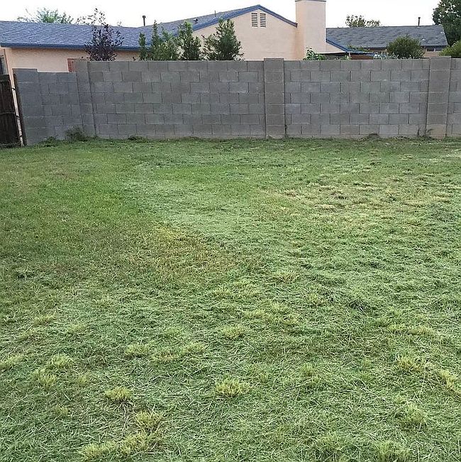Image of 10286 E Rainbow Meadow Dr