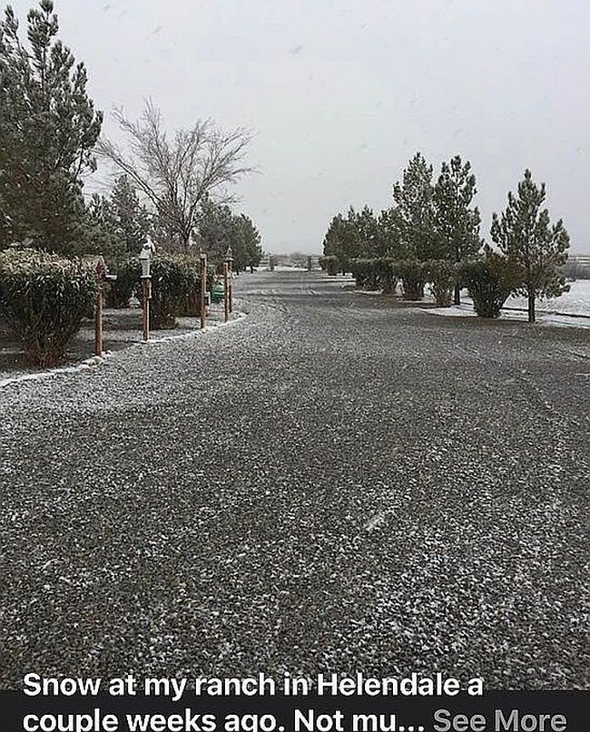 Photo of 18320 Horseshoe Trl, Helendale, CA