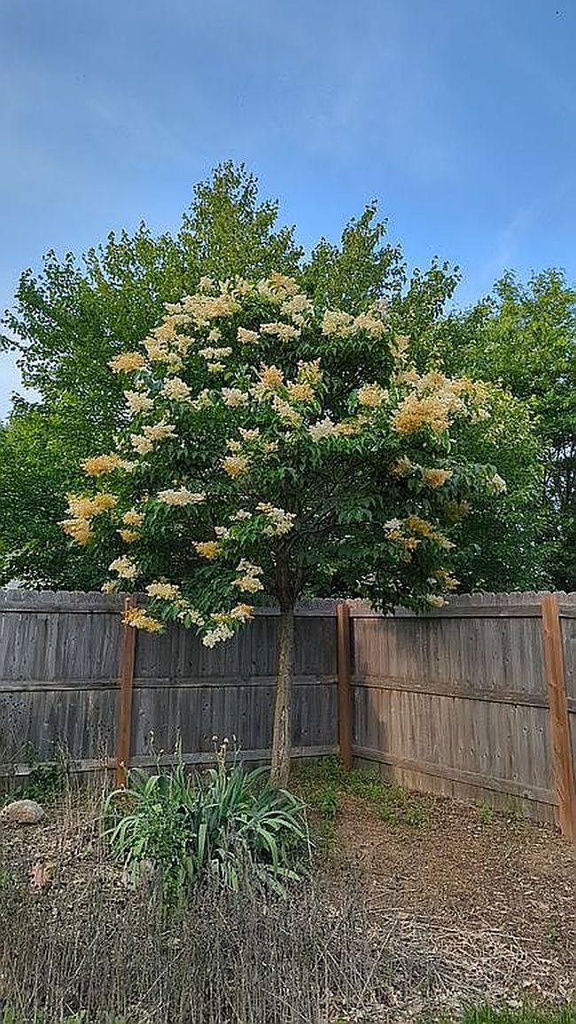 Image of 5509 Cody Dr