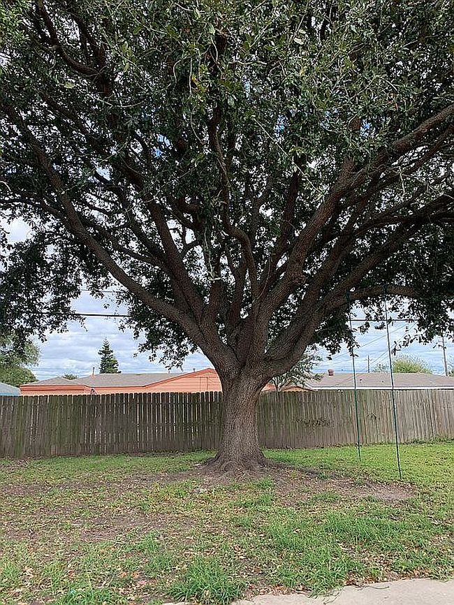 Additional photo 1 of property located at 2512 Pine St