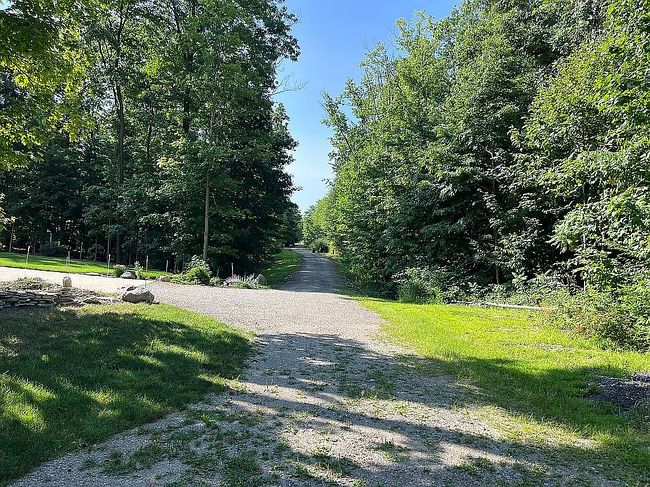 Image of 12157 Girdled Rd