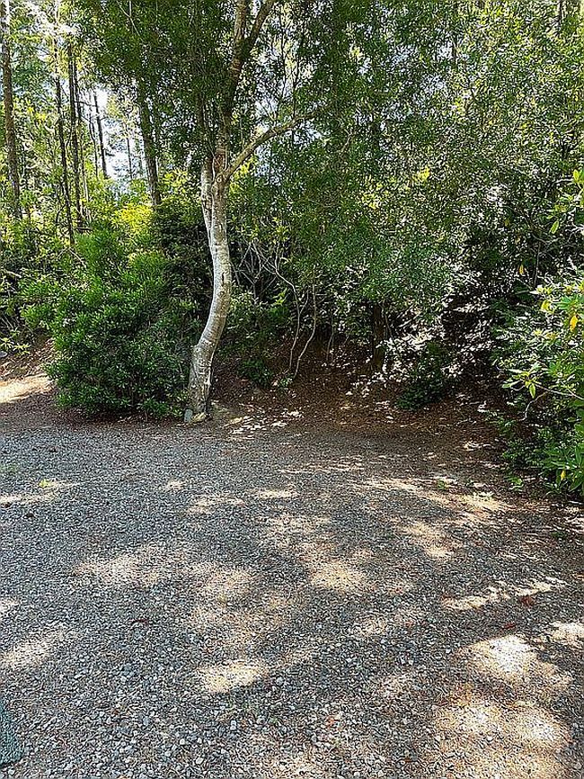 Photo of 91 Outer Dr, Florence, OR