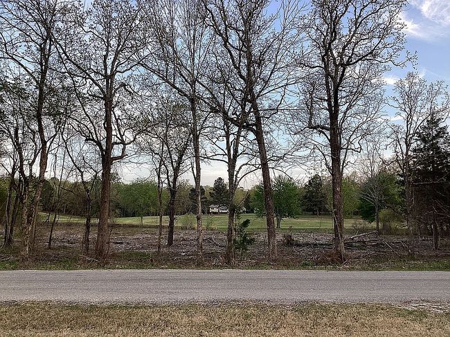 Photo of 210 W Lansing Ave, Horseshoe Bend, AR