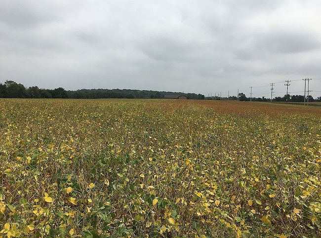 Preview of property located at 2526 S Briggs St