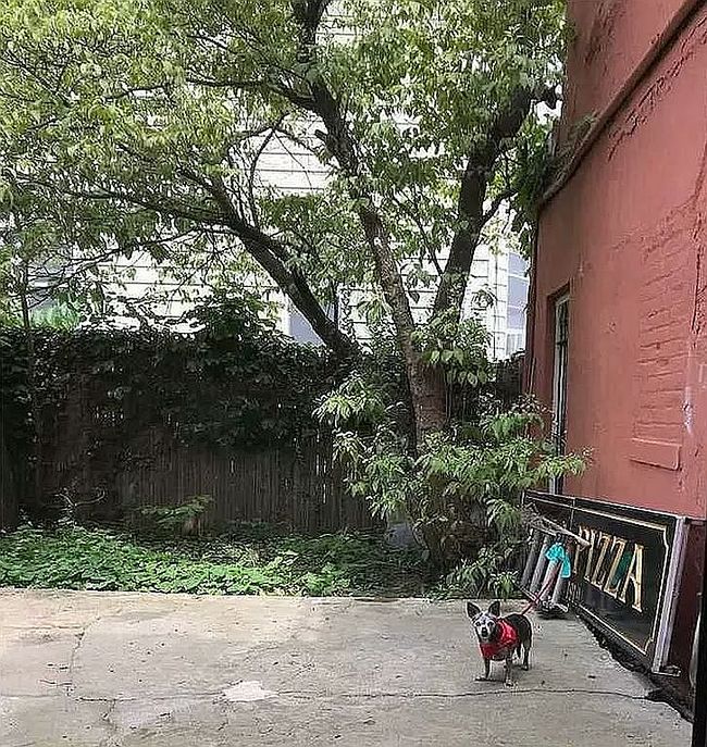 Photo of 7317 Woodside Ave, Flushing, NY