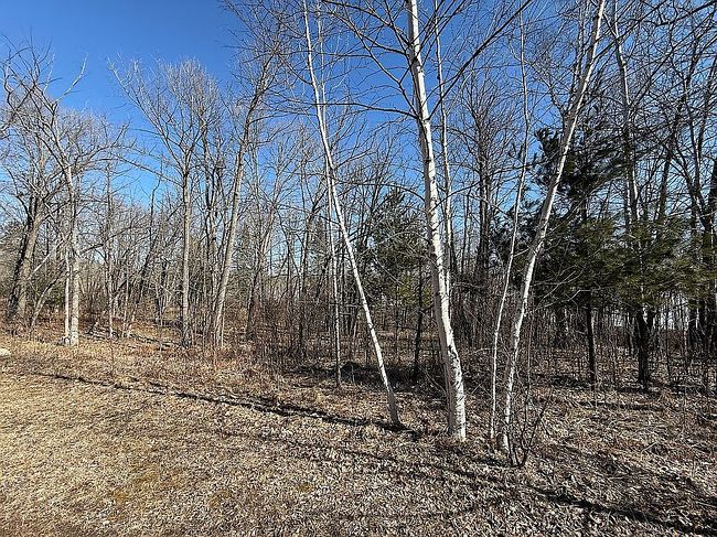 Image of 12865 Sumac Trl