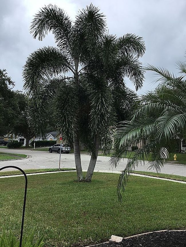 Image of 11021 4th Ave E