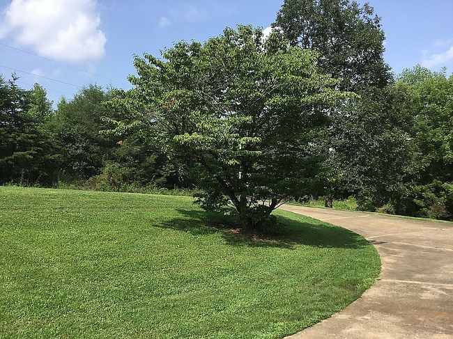 Image of 827 Saint Paul Church Rd