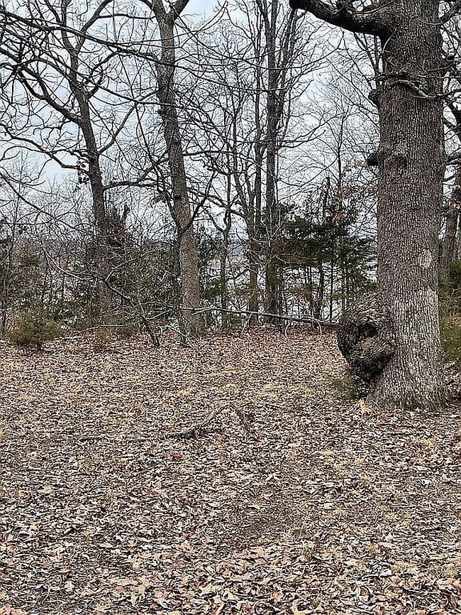 Image of 23958 Whippoorwill Trl