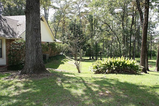 Image of 245 White Oak Dr