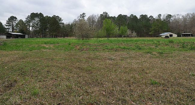 Image of 10007 Gipson Rd