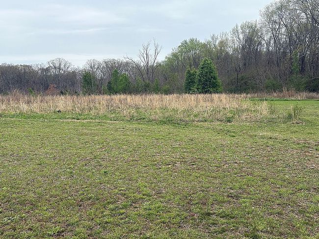 Image of 620 County Road 71