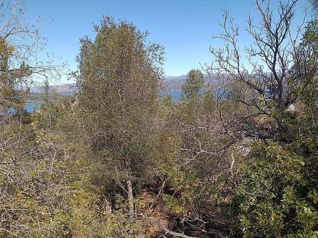 Image of 9960 Point Lakeview Rd