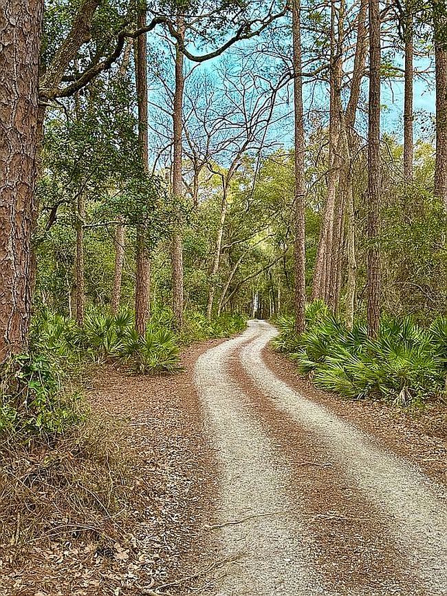 Image of 14983 State Highway 99