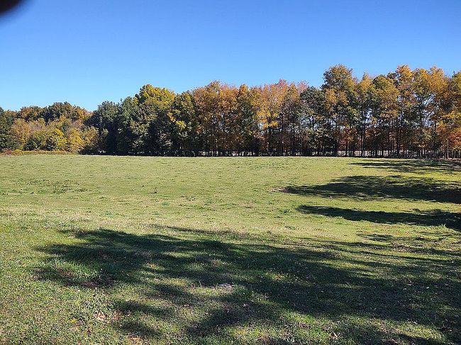 Photo of 11472 Southard Rd, Cato, NY