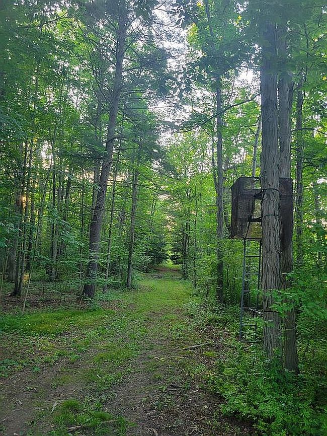 Photo of 7492 White Creek Rd, Belfast, NY
