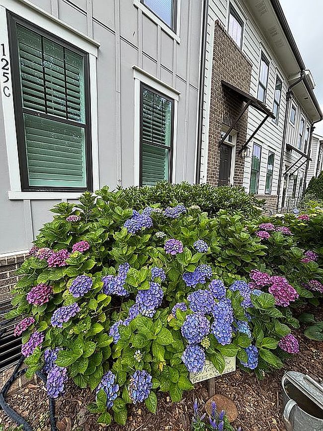 Photo of 125C Capital Ave #303, Mooresville, NC
