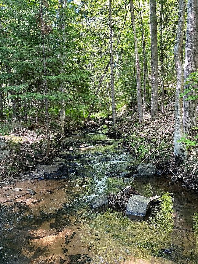 Photo of Werner St, Marquette, MI