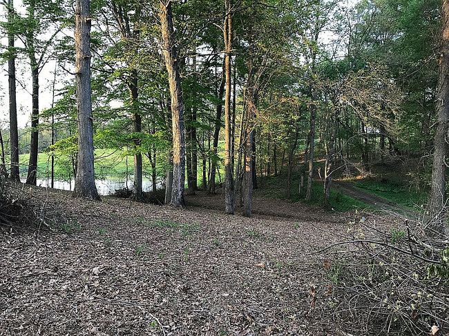 Photo of 568 Painter Rd, Fall Branch, TN