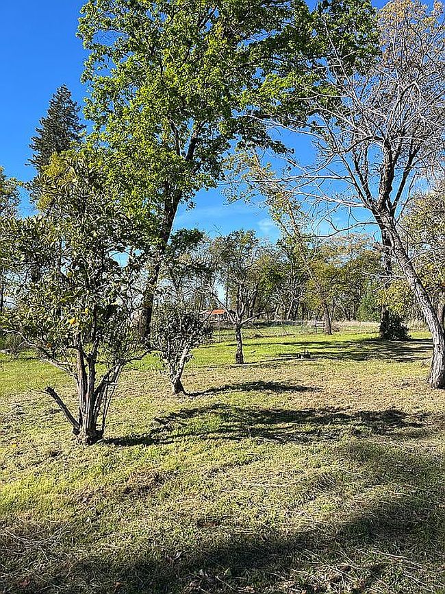 Image of 196 Roe Rd