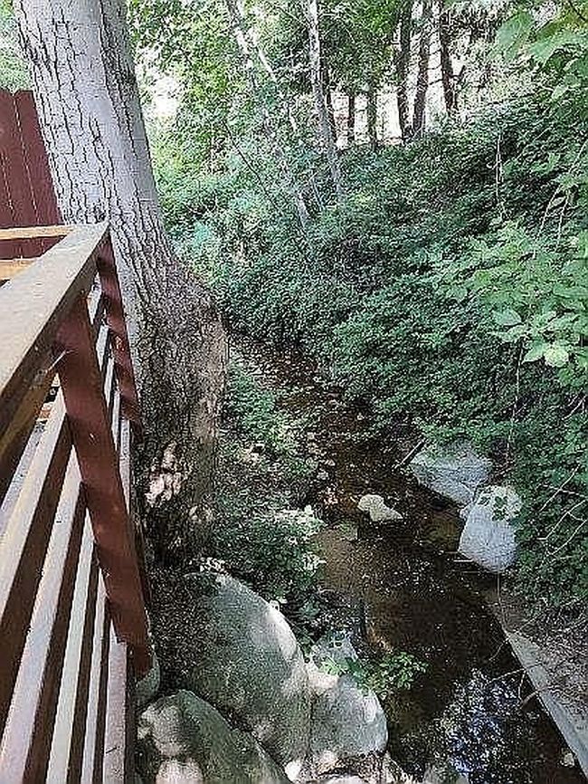 Image of 587 Wildrose Ln #3