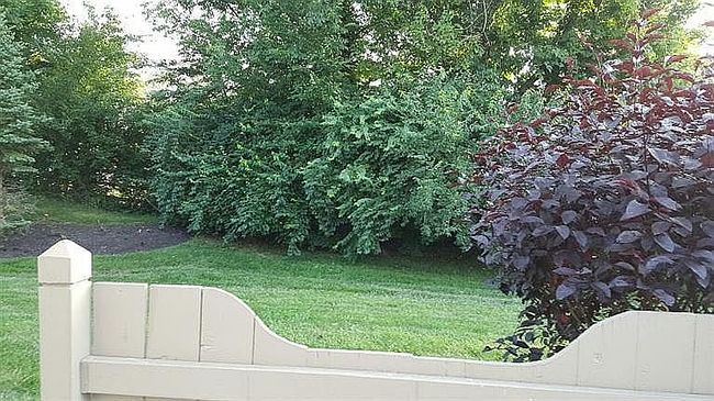 Image of 9072 Timberbrook Ln Unit D