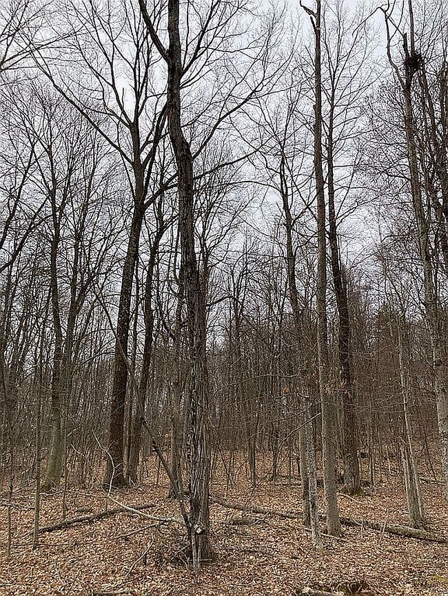 Photo of 58 Blue Jay Cir, Schaghticoke, NY
