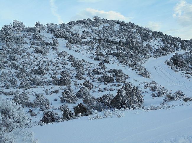 Photo of Beekman Rd, Fort Garland, CO