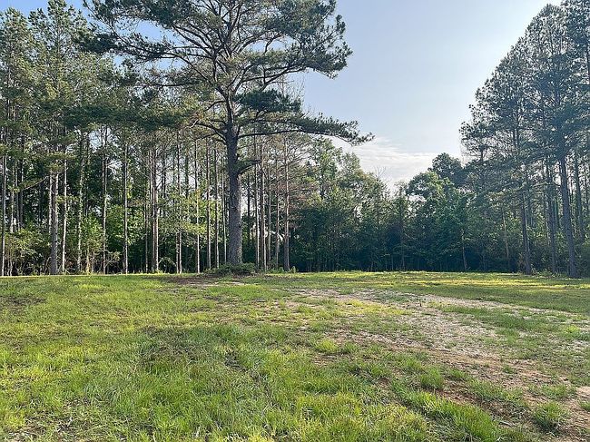 Photo of 4065 Judge Rd, Liberty, MS