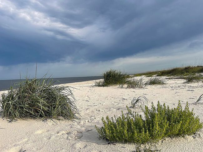 Image of 387 Sea Grv Way