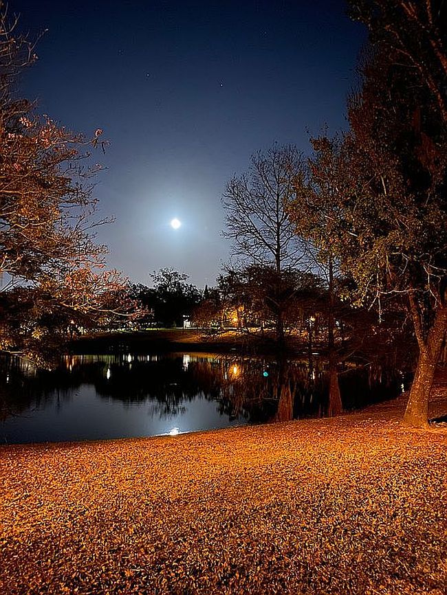 Additional photo 3 of property located at 602 Lake Como Cir